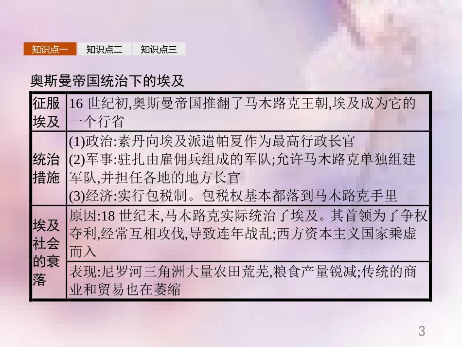 高中历史 第六单元 穆罕默德&#8226;阿里改革 6.1 18世纪末19世纪初的埃及课件 新人教版选修1_第3页