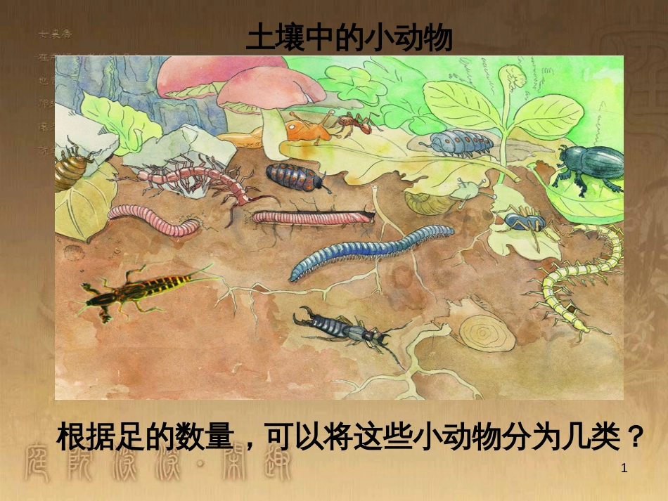 七年级生物下册 第五单元 第13章 土壤的生物 第1节 土壤里的小动物课件3 （新版）苏科版_第1页