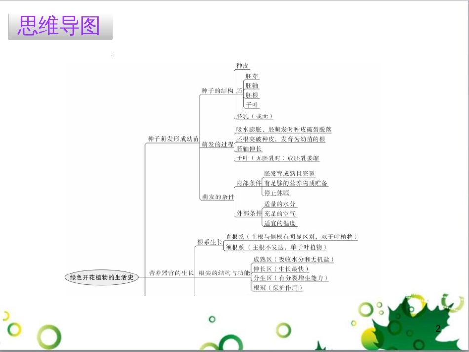 三年级语文上册 第三单元期末总复习课件 新人教版 (1265)_第2页