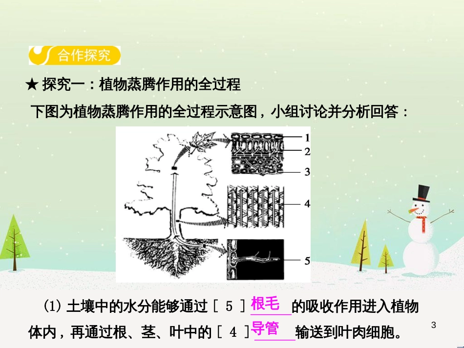高中政治 第1课 生活在人民当家作主的国家 第2框 政治权利与义务参与政治生活的基础课件 新人教版必修2 (13)_第3页