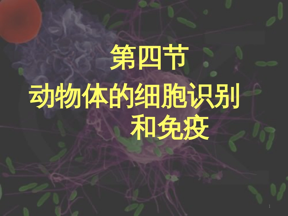 高中生物 专题5 生态工程 阶段复习课课件 新人教版选修3 (164)_第1页