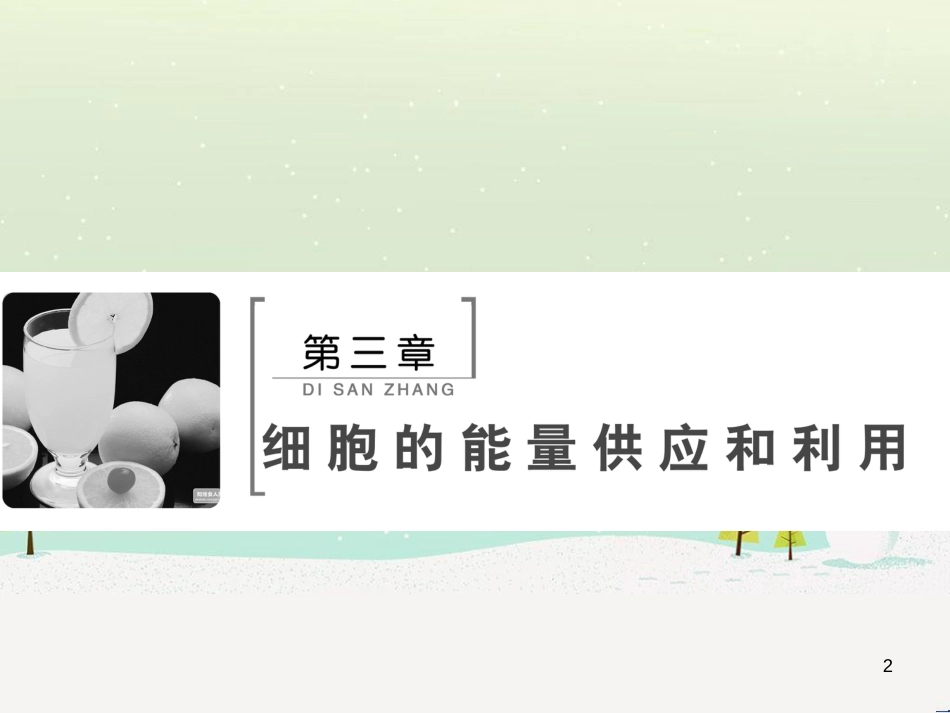 高考化学一轮复习 第1章 化学计量在实验中的应用 第1讲 物质的量 气体摩尔体积课件 新人教版 (180)_第2页