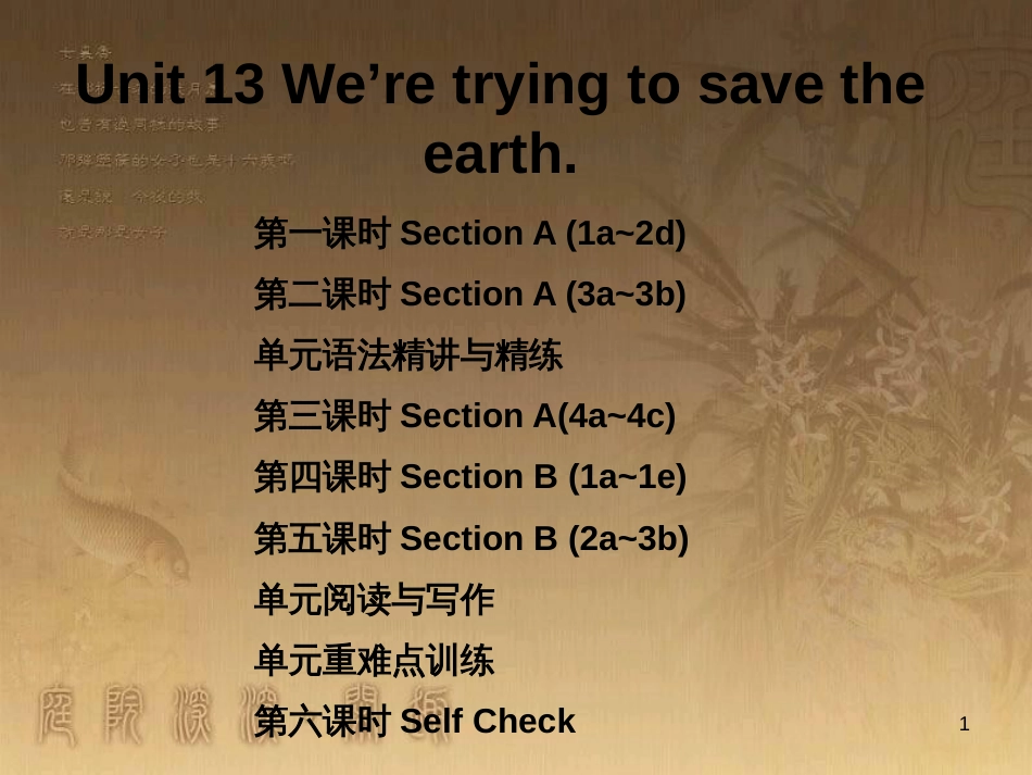 九年级英语全册 随堂特训 Unit 13 We’re trying to save the earth课件 （新版）人教新目标版_第1页