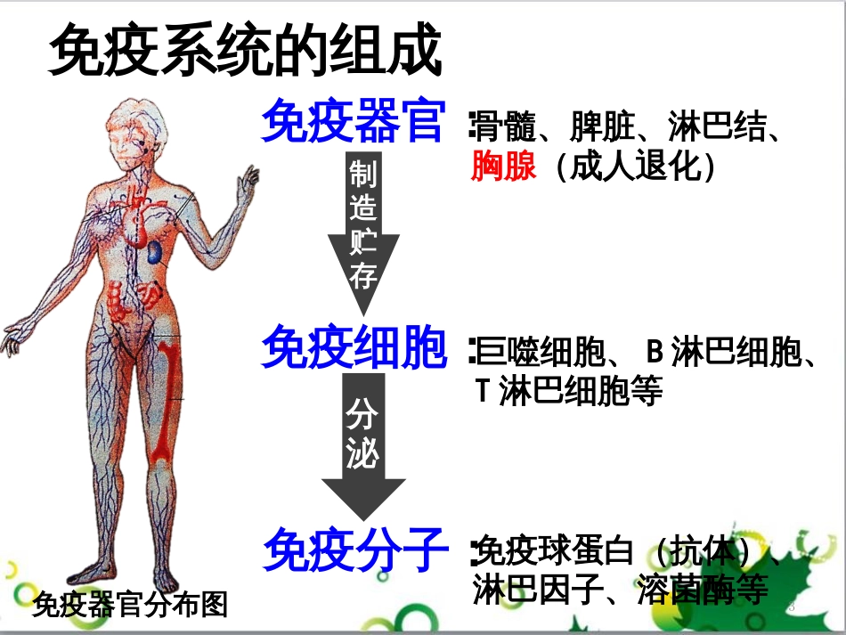 高中生物 专题5 生态工程 阶段复习课课件 新人教版选修3 (161)_第3页