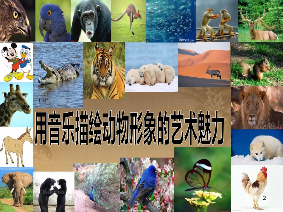七年级音乐下册 第二单元 野蜂飞舞课件2 湘教版_第2页