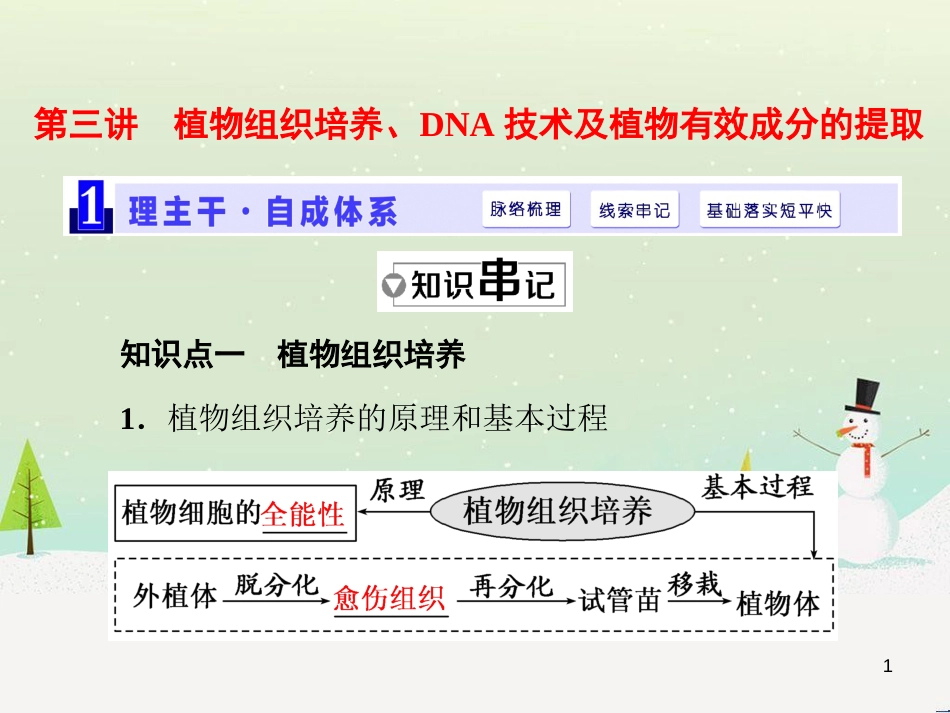 高考化学一轮复习 第1章 化学计量在实验中的应用 第1讲 物质的量 气体摩尔体积课件 新人教版 (11)_第1页