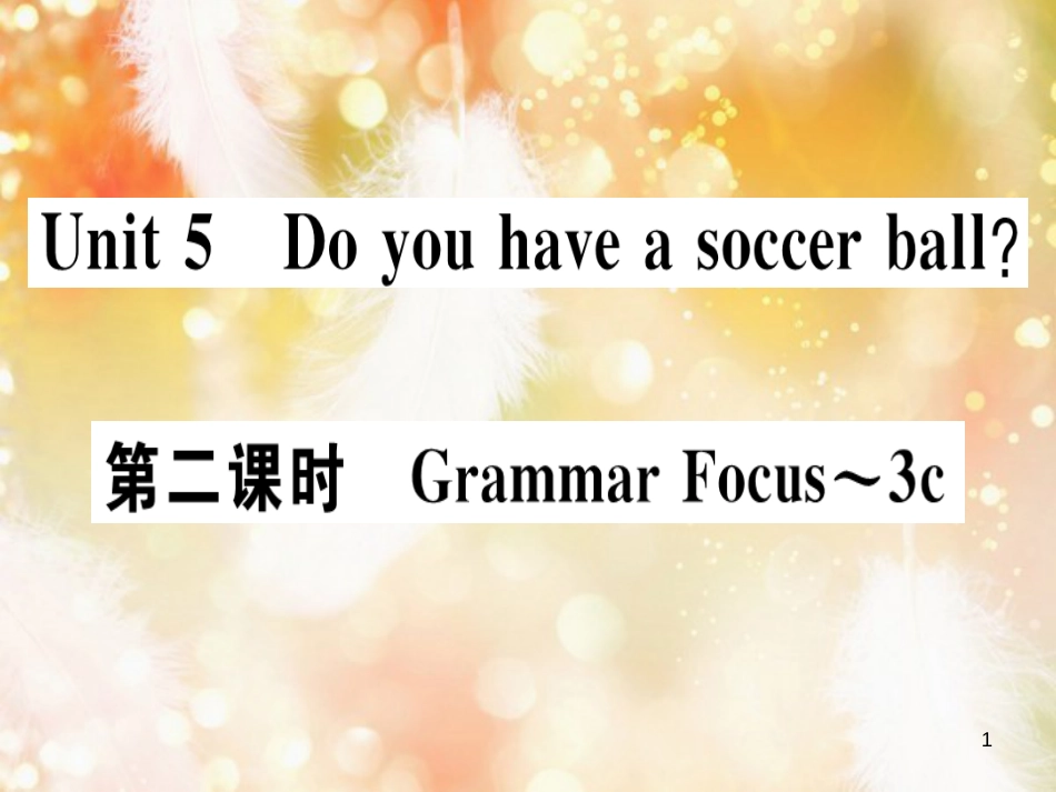 七年级英语上册 Unit 5 Do you have a soccer ball（第2课时）习题课件 （新版）人教新目标版_第1页