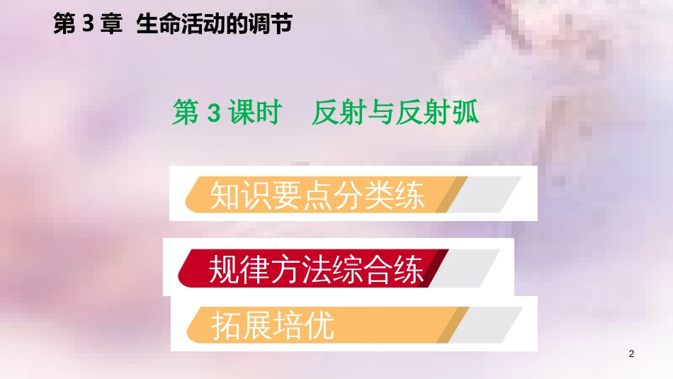 八年级科学上册 第3章 生命活动的调节 3.3 神经调节 3.3.3 反射与反射弧练习课件 （新版）浙教版_第2页