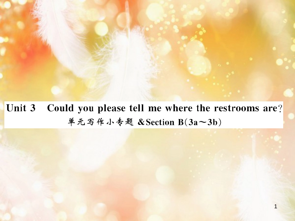 九年级英语全册 Unit 3 Could you please tell me where the restrooms are写作小专题习题课件 （新版）人教新目标版_第1页