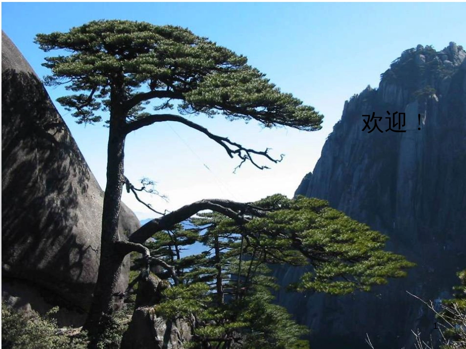 高中政治 第一单元 文化与生活 第一课 文化与社会 第一框 体味文化课件 新人教版必修3 (21)_第1页