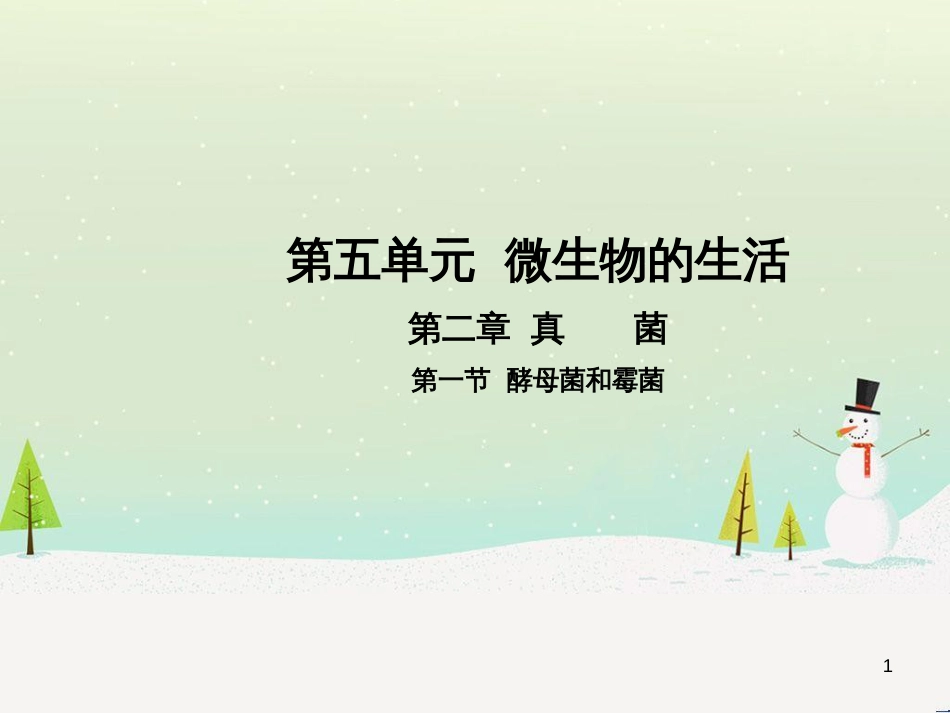 高中政治 第1课 生活在人民当家作主的国家 第2框 政治权利与义务参与政治生活的基础课件 新人教版必修2 (21)_第1页