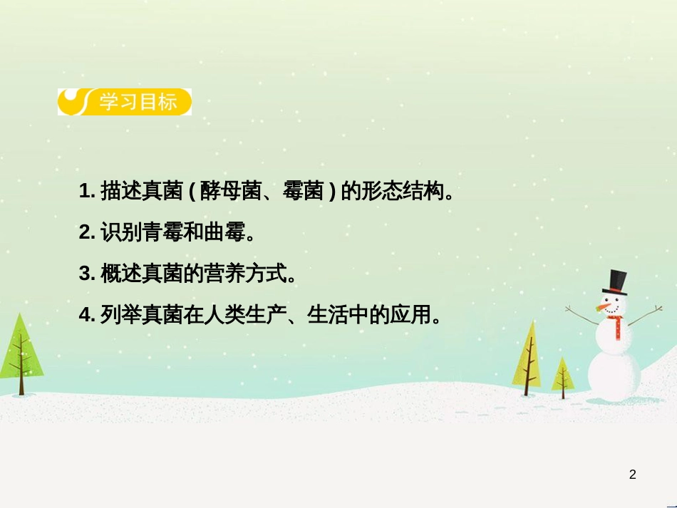 高中政治 第1课 生活在人民当家作主的国家 第2框 政治权利与义务参与政治生活的基础课件 新人教版必修2 (21)_第2页