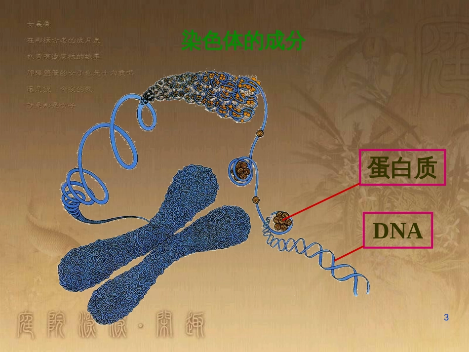 高中生物 专题2 细胞工程 2.2 动物细胞工程 动物细胞融合与单克隆抗体（第2课时）课件 新人教版选修3 (4)_第3页