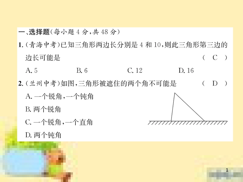 九年级英语下册 Unit 10 Get Ready for the Future语法精练及易错归纳作业课件 （新版）冀教版 (23)_第1页