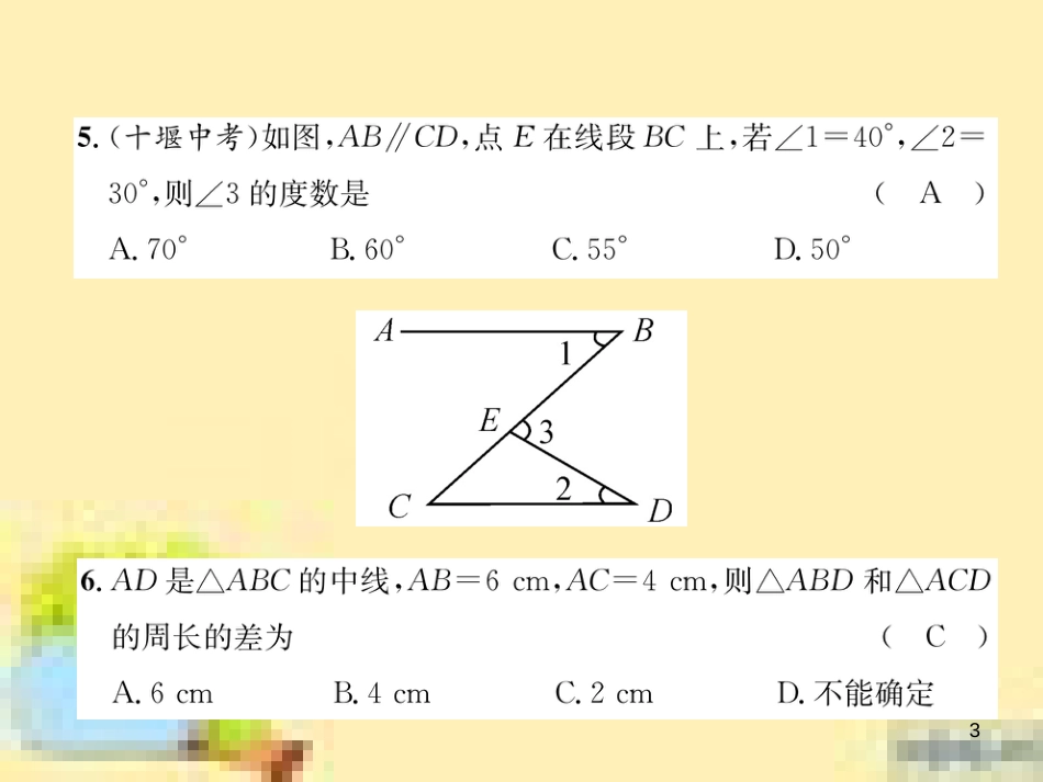 九年级英语下册 Unit 10 Get Ready for the Future语法精练及易错归纳作业课件 （新版）冀教版 (23)_第3页