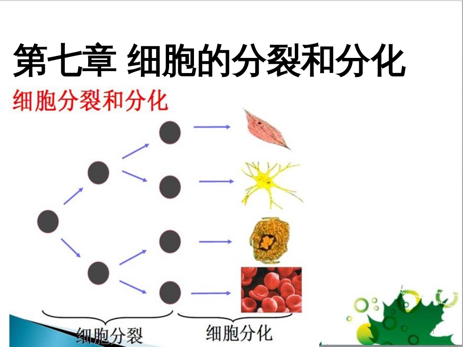 高中生物 专题5 生态工程 阶段复习课课件 新人教版选修3 (182)_第1页