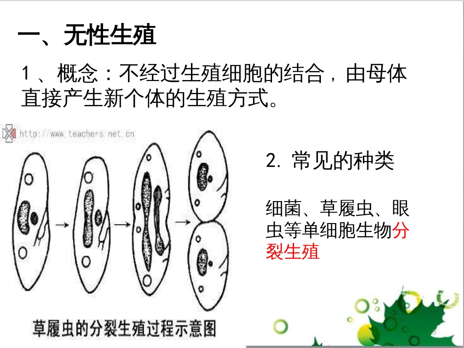 高中生物 专题5 生态工程 阶段复习课课件 新人教版选修3 (182)_第3页