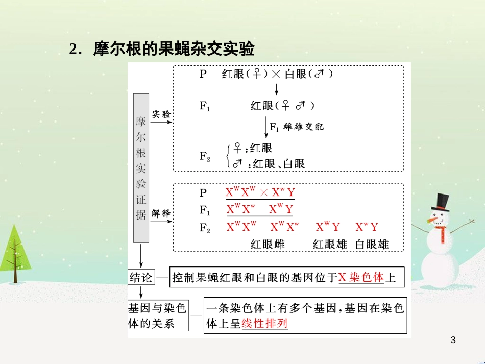 高考化学一轮复习 第1章 化学计量在实验中的应用 第1讲 物质的量 气体摩尔体积课件 新人教版 (19)_第3页