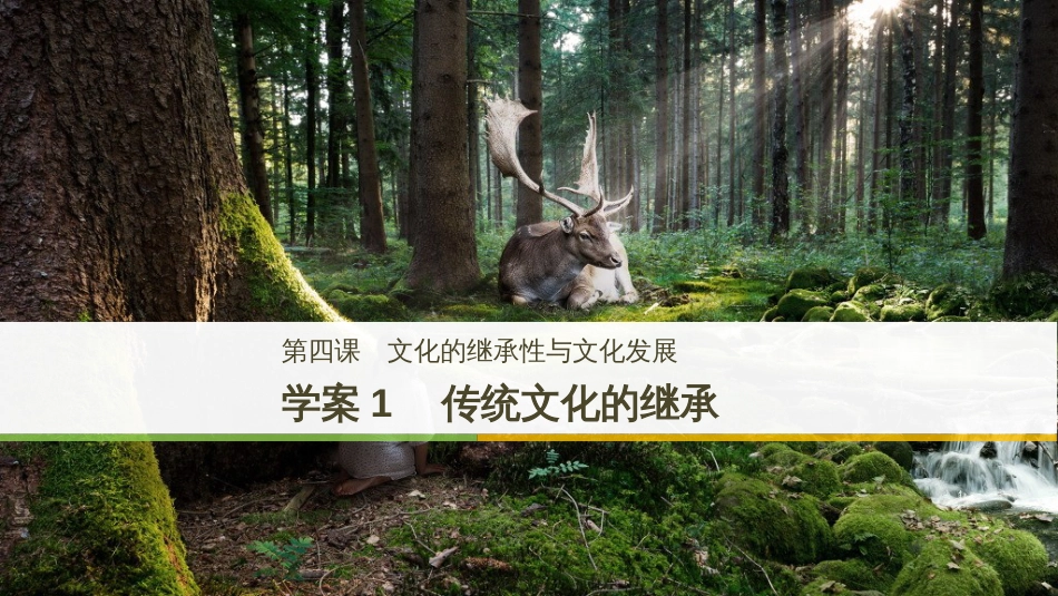 高中政治 第二单元 文化传承与创新 第四课 文化的继承性与文化发展 1 文化在交流中传播课件 新人教版必修3_第1页