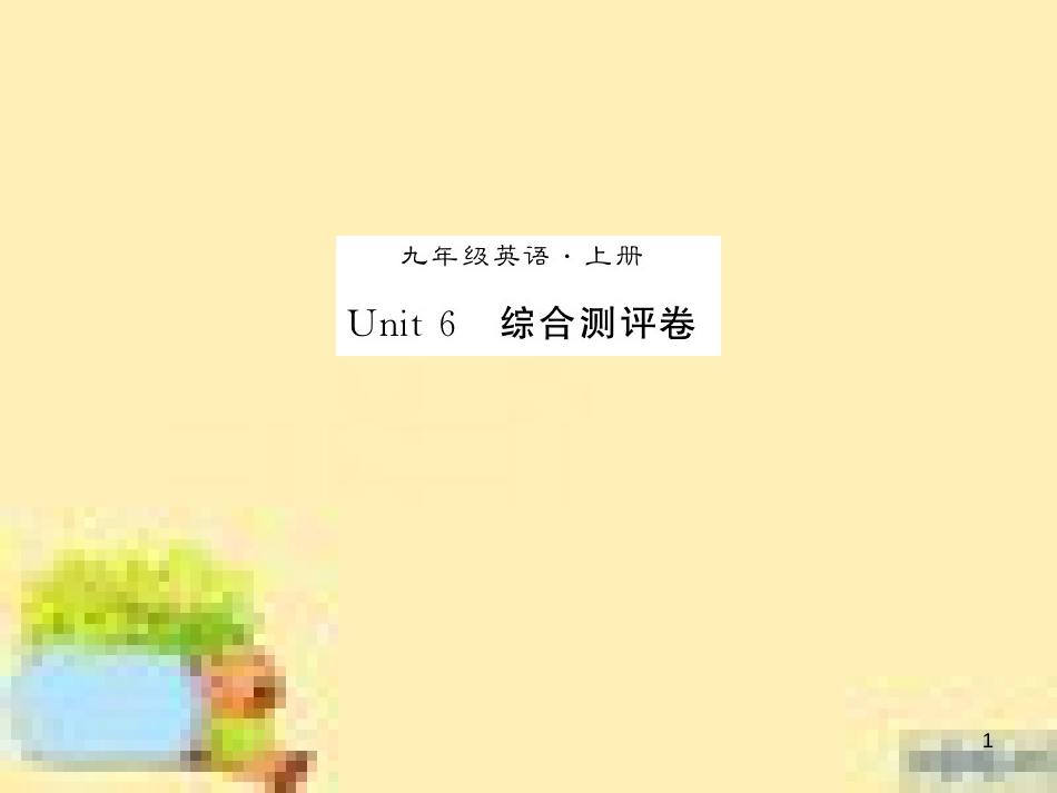 九年级英语下册 Unit 10 Get Ready for the Future语法精练及易错归纳作业课件 （新版）冀教版 (369)_第1页