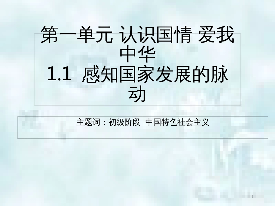 九年级道德与法治上册 第一单元 认识国情 爱我中华 1.1 感知祖国发展的脉动 第2框 初级阶段的社会主义优质课件2 粤教版_第1页