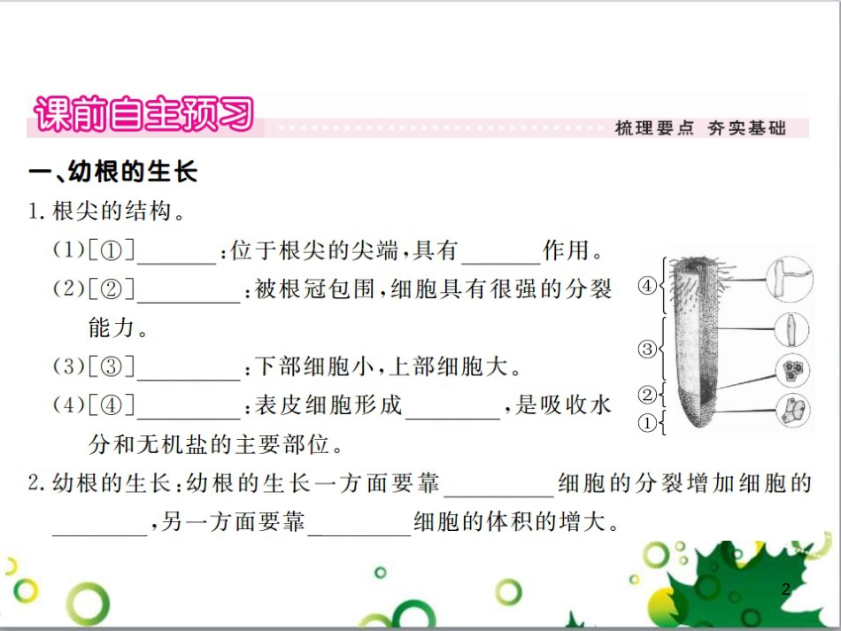 三年级语文上册 第三单元期末总复习课件 新人教版 (1267)_第2页