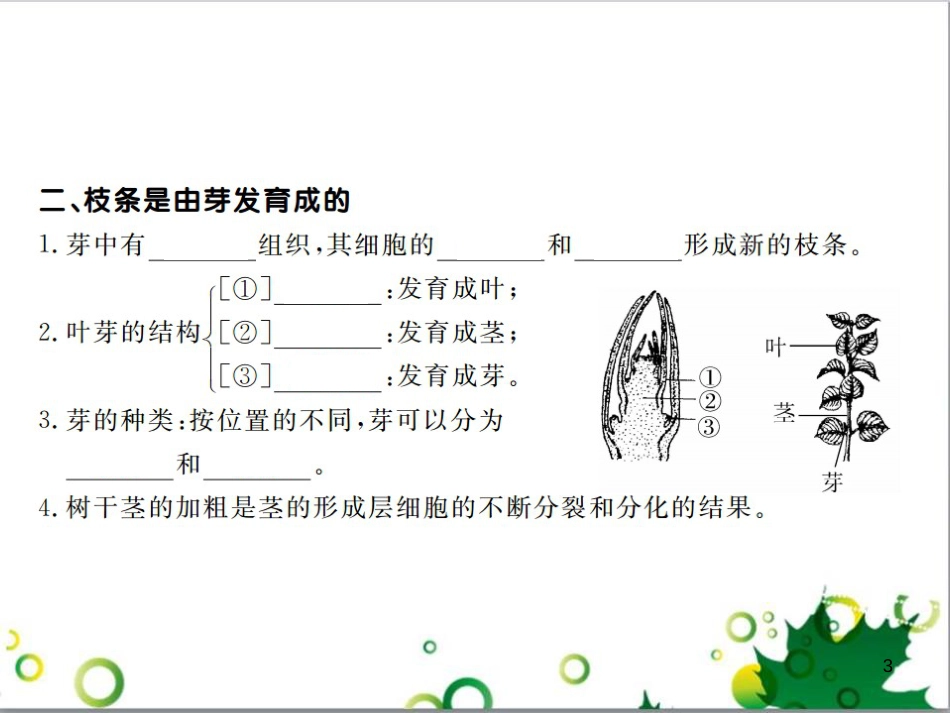 三年级语文上册 第三单元期末总复习课件 新人教版 (1267)_第3页