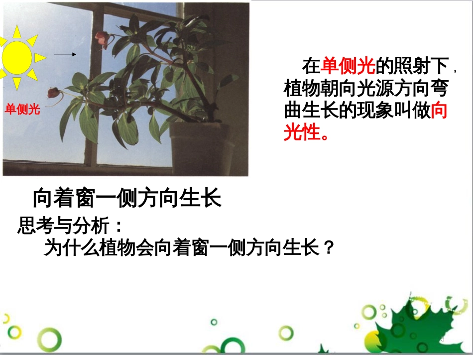 高中生物 专题5 生态工程 阶段复习课课件 新人教版选修3 (168)_第3页