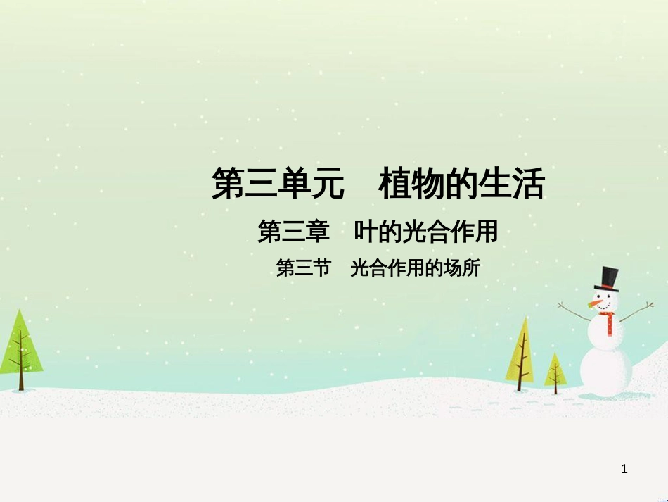 高中政治 第1课 生活在人民当家作主的国家 第2框 政治权利与义务参与政治生活的基础课件 新人教版必修2 (11)_第1页