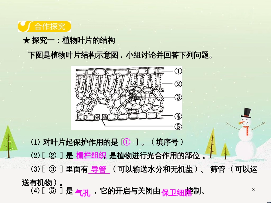 高中政治 第1课 生活在人民当家作主的国家 第2框 政治权利与义务参与政治生活的基础课件 新人教版必修2 (11)_第3页