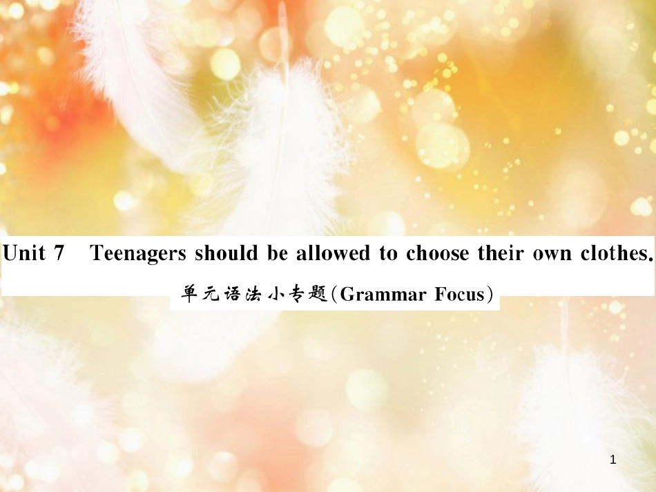 九年级英语全册 Unit 7 Teenagers should be allowed to choose their own clothes语法小专题习题课件 （新版）人教新目标版_第1页