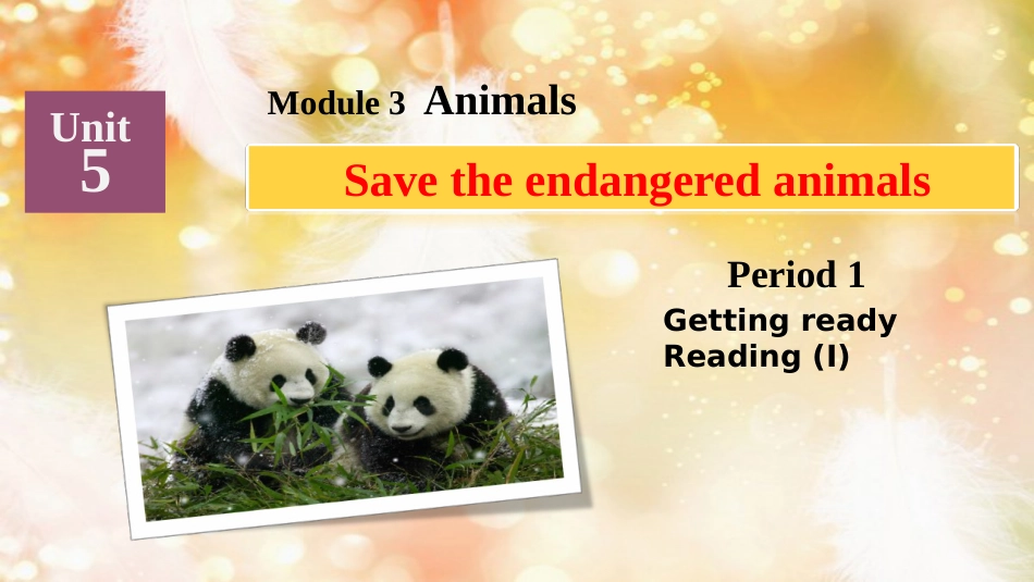 八年级英语下册 Module 3 Animals Unit 5 Save the endangered animals课件 牛津深圳版_第2页