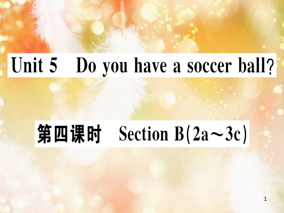 七年级英语上册 Unit 5 Do you have a soccer ball（第4课时）习题课件 （新版）人教新目标版_第1页