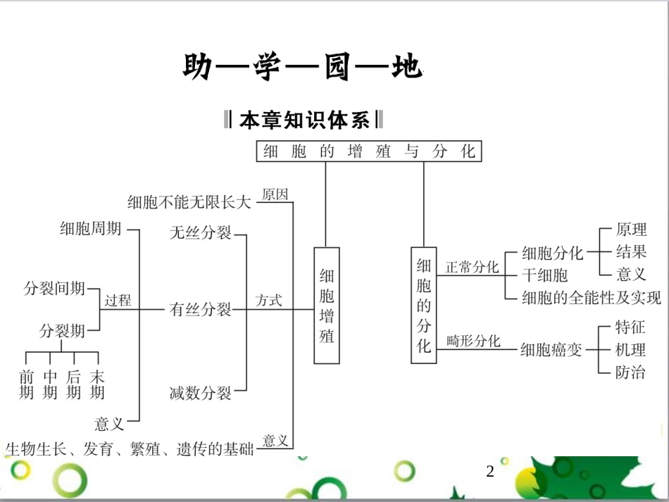 九年级历史上册 总复习课件 北师大版 (32)_第2页