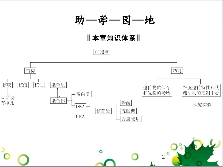 九年级历史上册 总复习课件 北师大版 (17)_第2页
