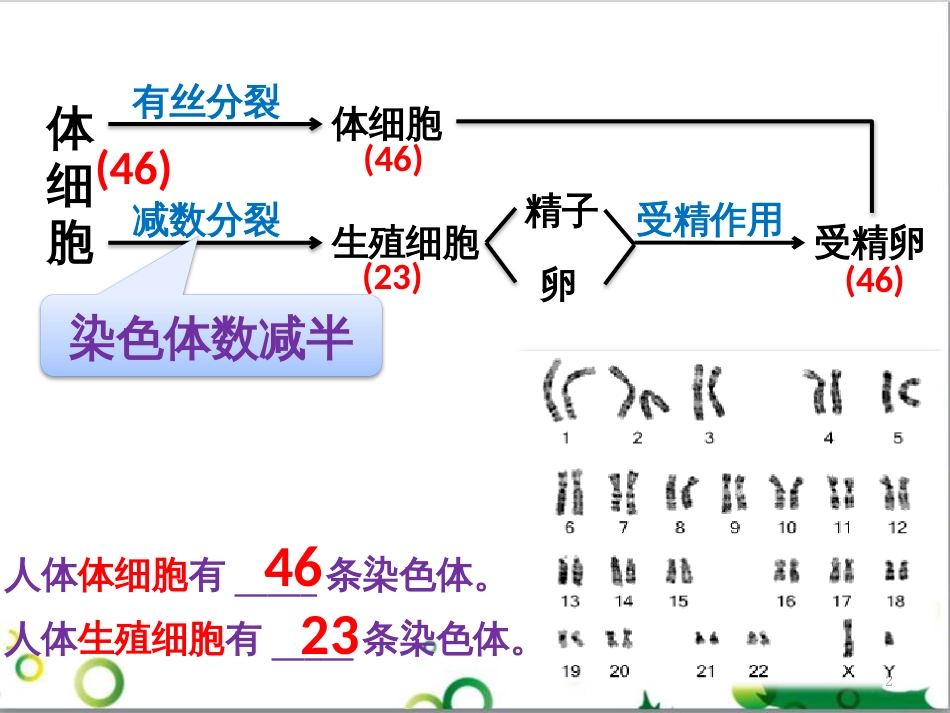 高中生物 专题5 生态工程 阶段复习课课件 新人教版选修3 (189)_第2页