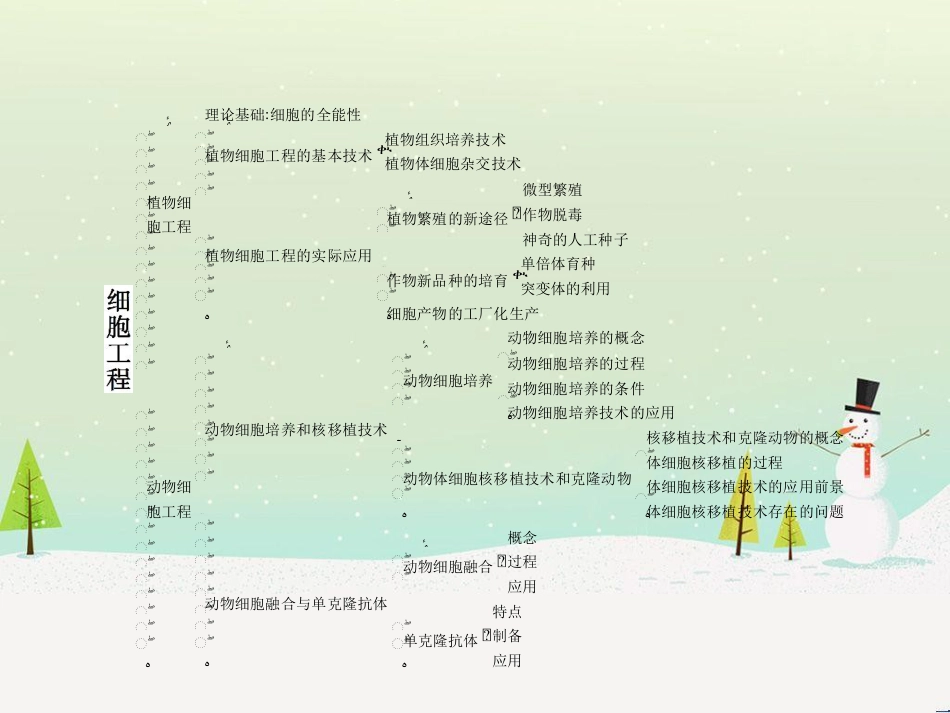 高中政治 第1课 生活在人民当家作主的国家 第2框 政治权利与义务参与政治生活的基础课件 新人教版必修2 (1083)_第2页