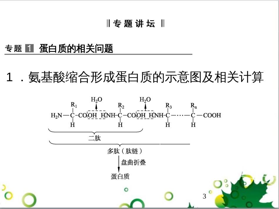 九年级历史上册 总复习课件 北师大版 (20)_第3页