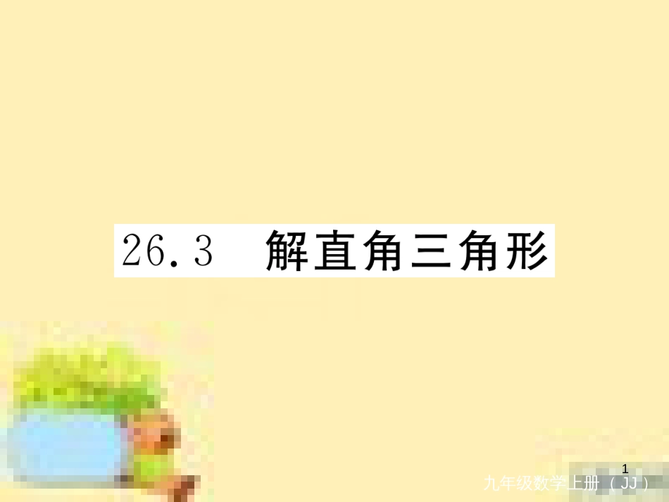 九年级英语下册 Unit 10 Get Ready for the Future语法精练及易错归纳作业课件 （新版）冀教版 (244)_第1页