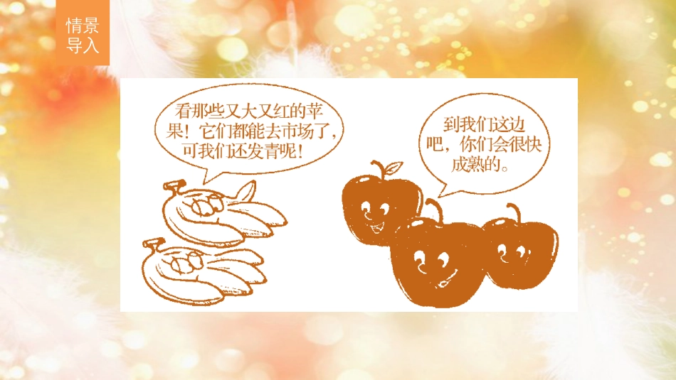 高中生物 第一单元 生物个体的稳态与调节 第一章 植物生命活动的调节 第二节 植物体内的其他激素课件 中图版必修3_第2页