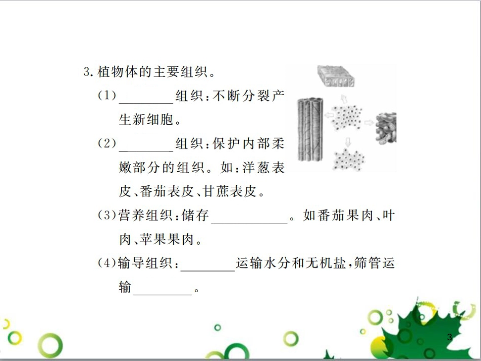 三年级语文上册 第三单元期末总复习课件 新人教版 (1300)_第3页