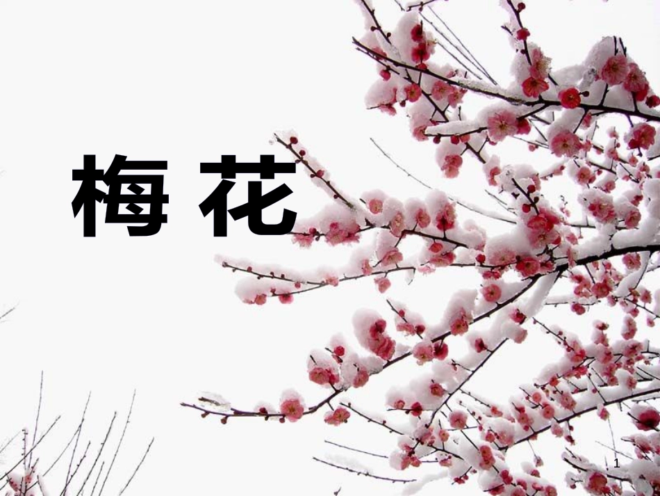 高中生物 专题5 生态工程 阶段复习课课件 新人教版选修3 (59)_第1页
