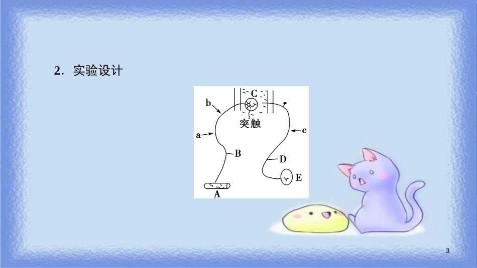 高中生物 第二章 动物和人体生命活动的调节 微专题突破（一）兴奋传导、传递特点的实验探究课件 新人教版必修3_第3页