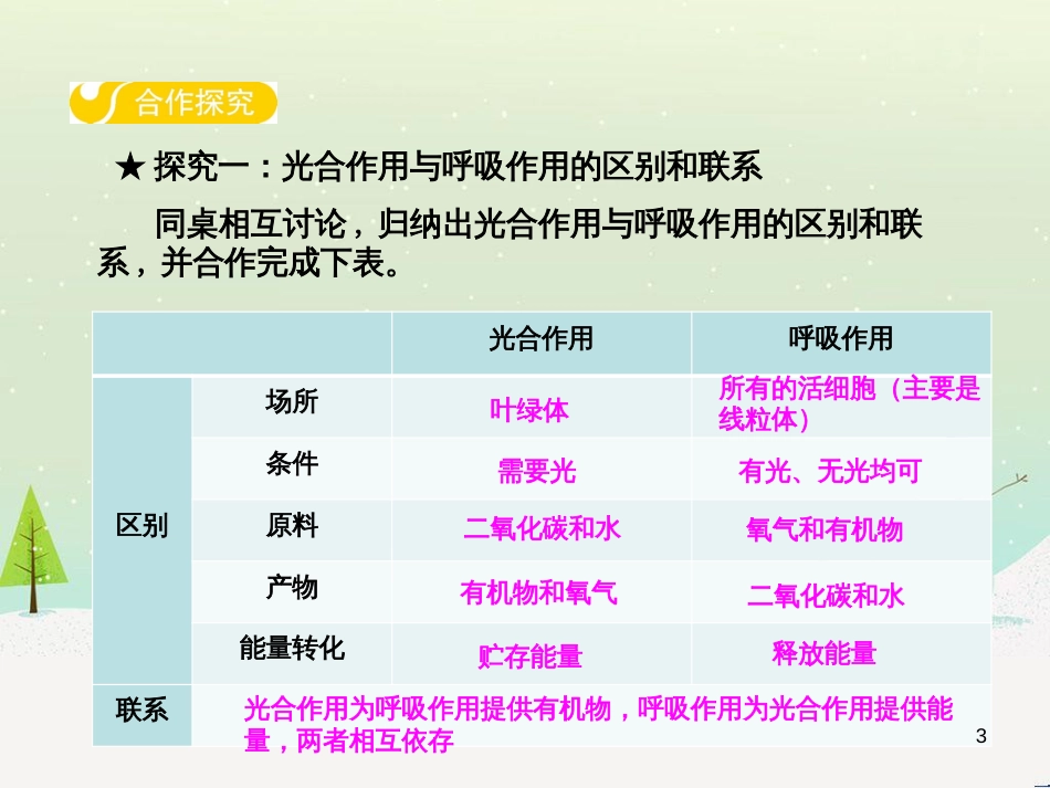 高中政治 第1课 生活在人民当家作主的国家 第2框 政治权利与义务参与政治生活的基础课件 新人教版必修2 (12)_第3页