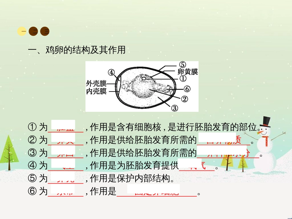 高中政治 第1课 生活在人民当家作主的国家 第2框 政治权利与义务参与政治生活的基础课件 新人教版必修2 (28)_第2页