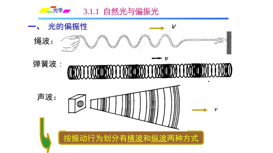 (1.1.3)--3.1.1自然光与偏振光_第3页