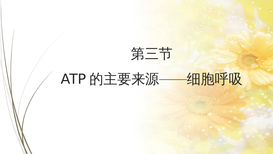 高中生物 5.3 ATP的主要来源——细胞呼吸课件 新人教版必修1_第1页