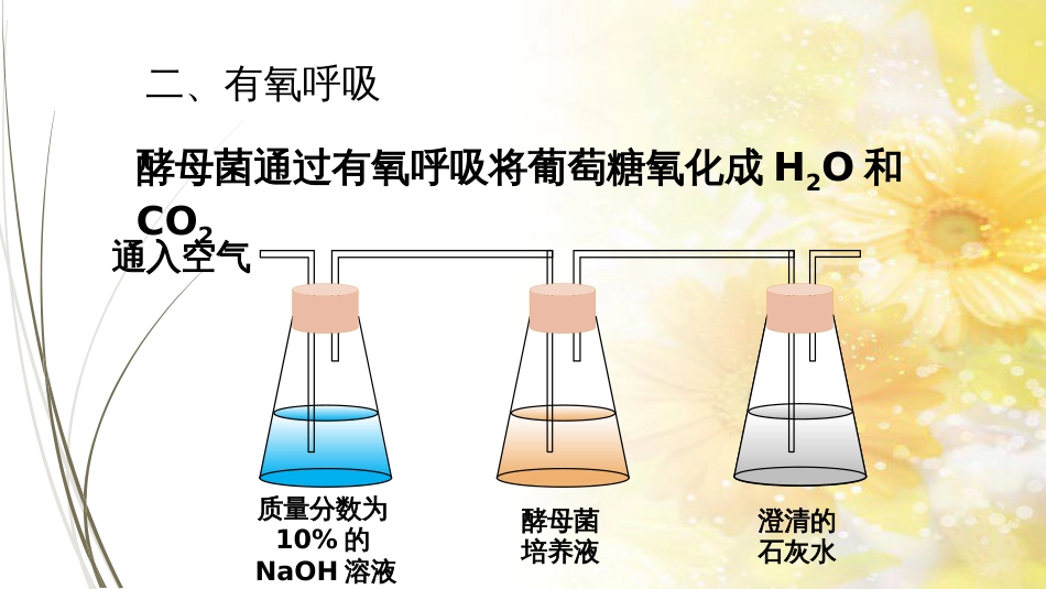 高中生物 5.3 ATP的主要来源——细胞呼吸课件 新人教版必修1_第3页