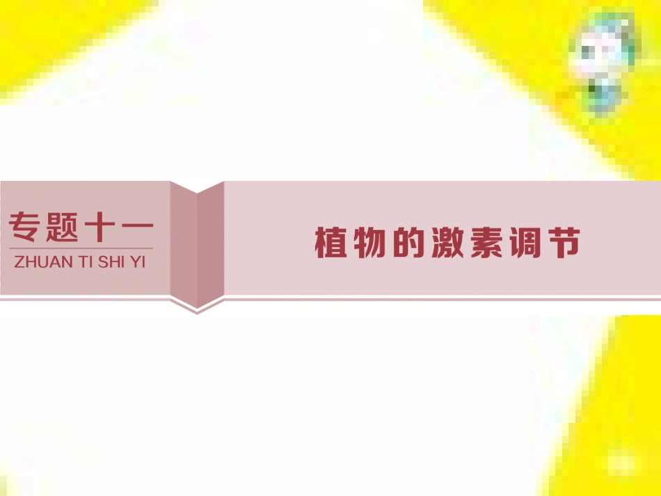 高中生物 第7章 第2节 现代生物进化理论的主要内容课件 新人教版必修2 (18)_第1页