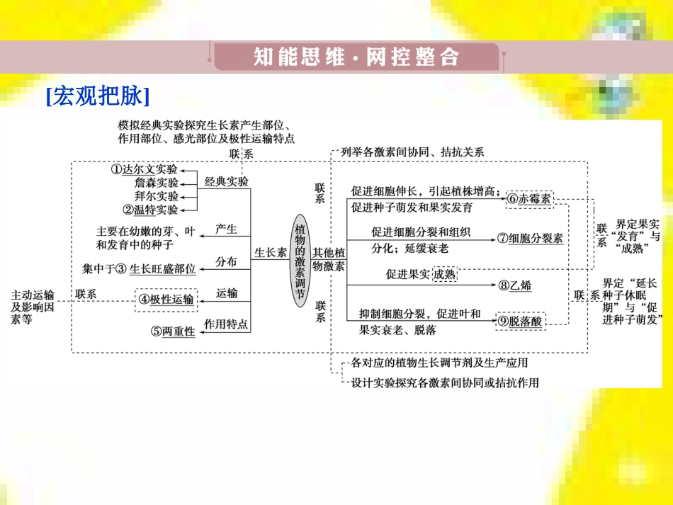 高中生物 第7章 第2节 现代生物进化理论的主要内容课件 新人教版必修2 (18)_第3页